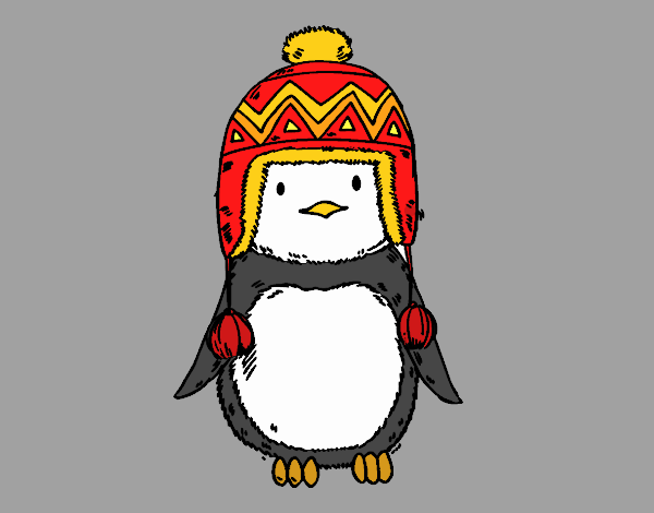 Bebé pingüino con gorrito