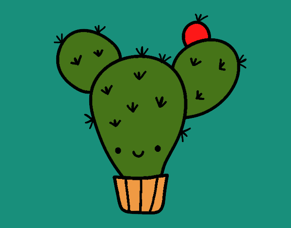 Cactus nopal