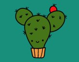 Cactus nopal