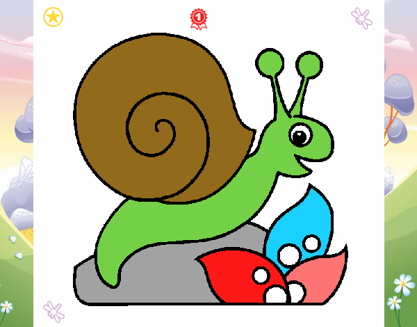 Caracol