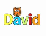 David