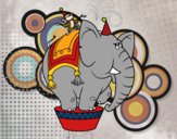 Elefante y mono de circo