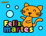 Feliz martes