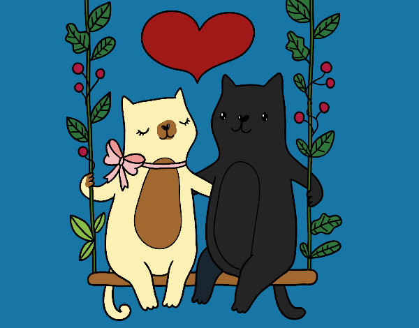 amor gatuno 