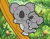 Madre koala