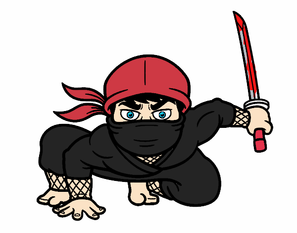 el ninja japones