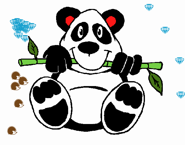 Oso panda