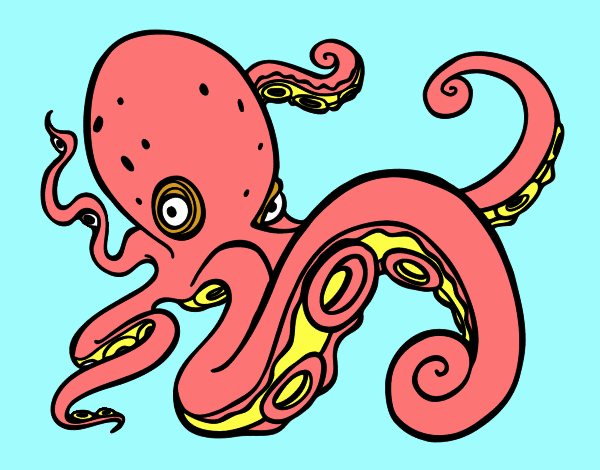 Pulpo enfadado