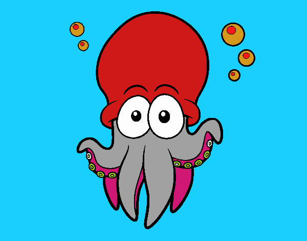 Pulpo rojo