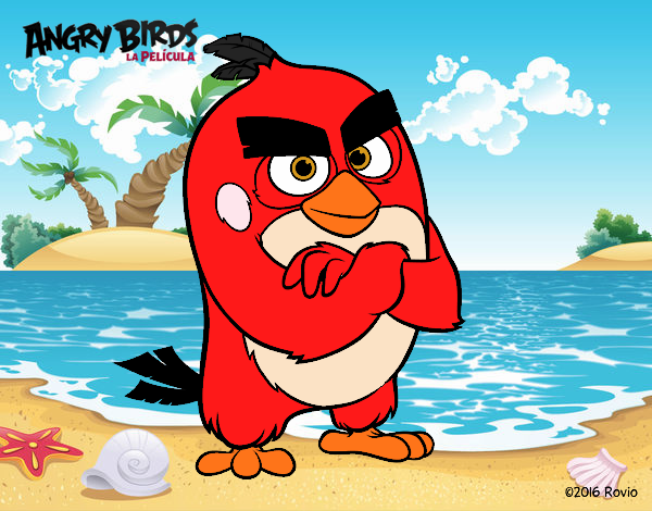 Red de Angry Birds