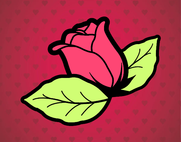 LA ROSA