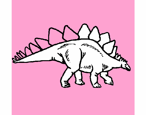 Stegosaurus