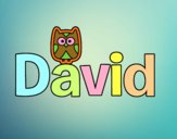 David