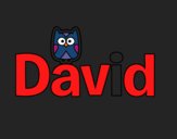 David