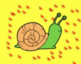 El caracol