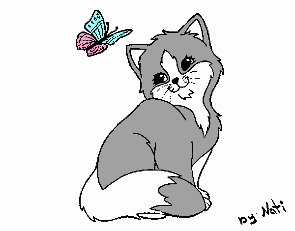 Gatito y mariposa