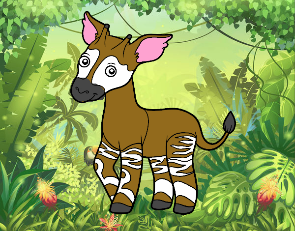 Okapi