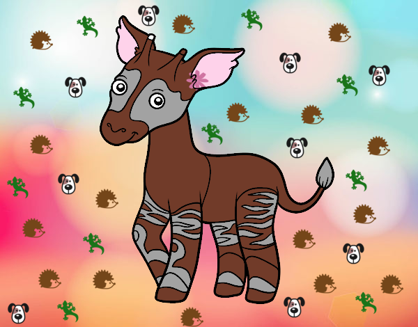 Okapi