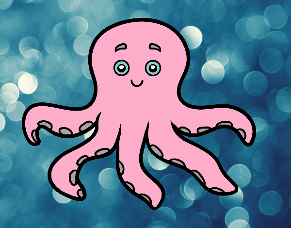 pulpo 