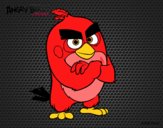 Red de Angry Birds