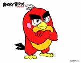 Red de Angry Birds