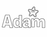 Adam