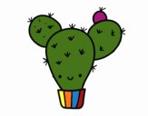 Cactus nopal