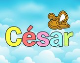 César