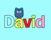 David