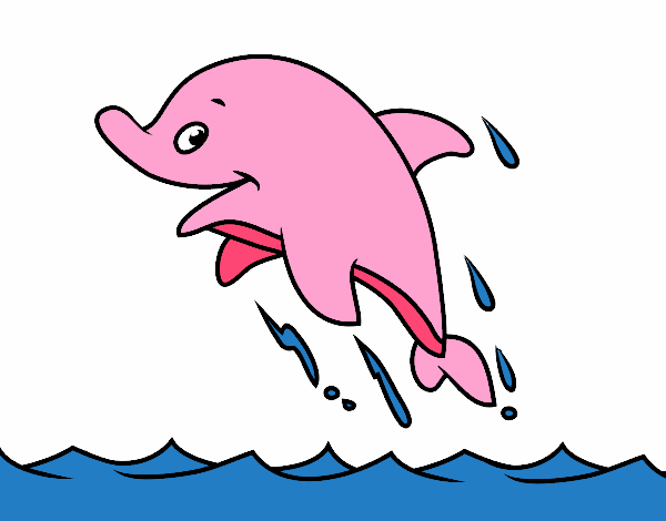 delfin rosado