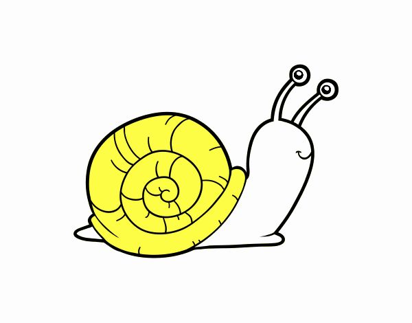 El caracol