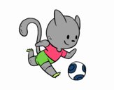 Gato jugando a fútbol