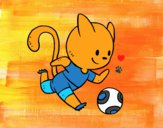 Gato jugando a fútbol