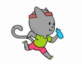 Gato runner