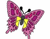 Mariposa 2a