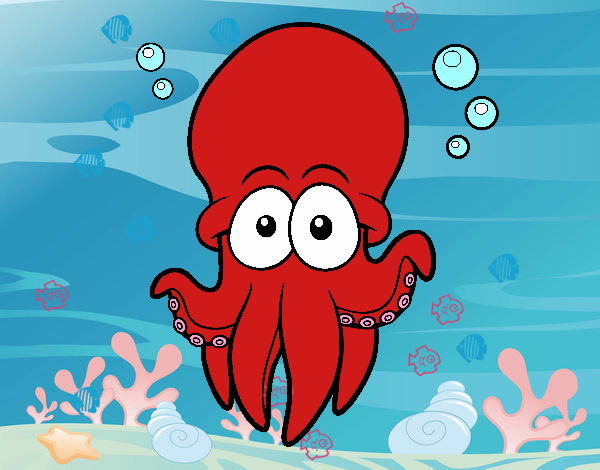 Pulpo rojo