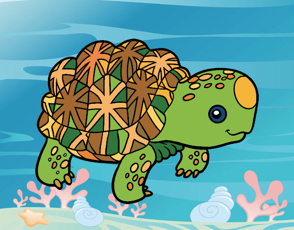 tortuga de la india