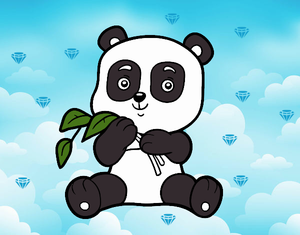 Un oso panda