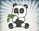 Un oso panda