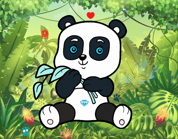 #panda PRO