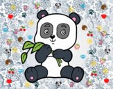 Un oso panda