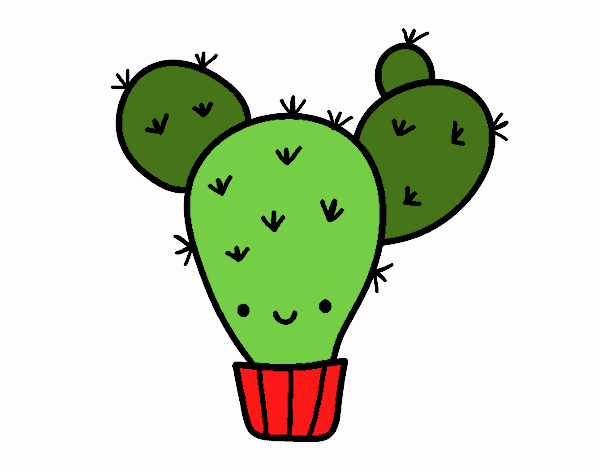 Cactus nopal