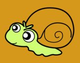 Caracol bebé