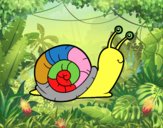 El caracol