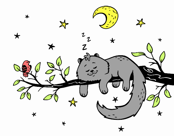 el gato y la luna