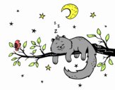 El gato y la luna