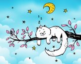 El gato y la luna