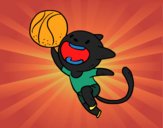 Gato jugando a baloncesto