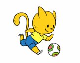 Gato jugando a fútbol