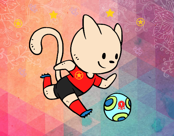 Gato jugando a fútbol